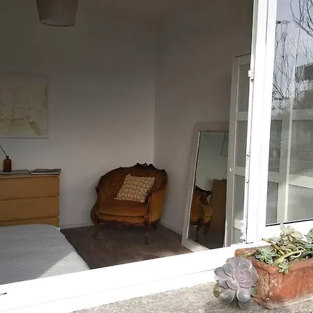 Green House Arizzano